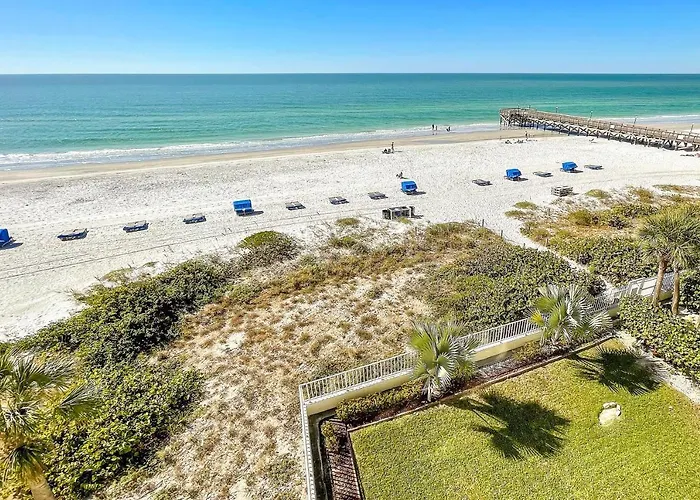 Beach Palms 406